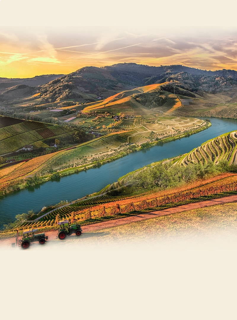 Vineyard farm aerial landscape